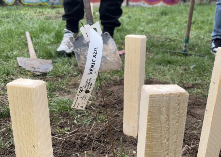 Városszerte közösségi takarítás zajlott – fotógaléria