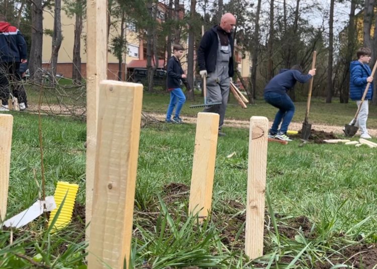 Városszerte közösségi takarítás zajlott – fotógaléria