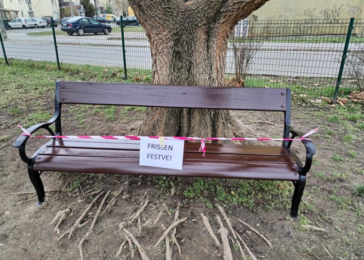 A Váci Városfejlesztő Kft. 2025.03.10. – 2025.03.16. közötti munkái