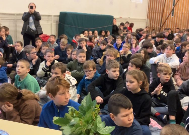 Asztalitenisz Eredmények