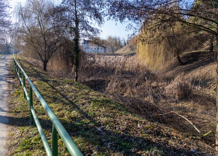 A deákvári záportározó tisztítását végzi a Városfejlesztő – galéria és videó