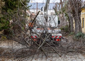 Óvatosan a közlekedéssel, kedden metszik a fákat a Budapesti főúton