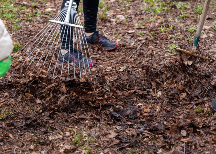 Városszerte közösségi takarítás zajlott – fotógaléria