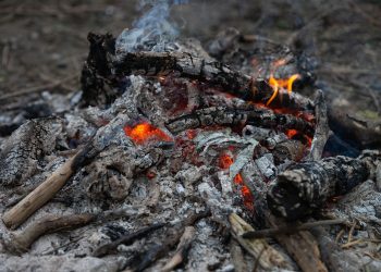Vácon tilos kerti hulladékot égetni