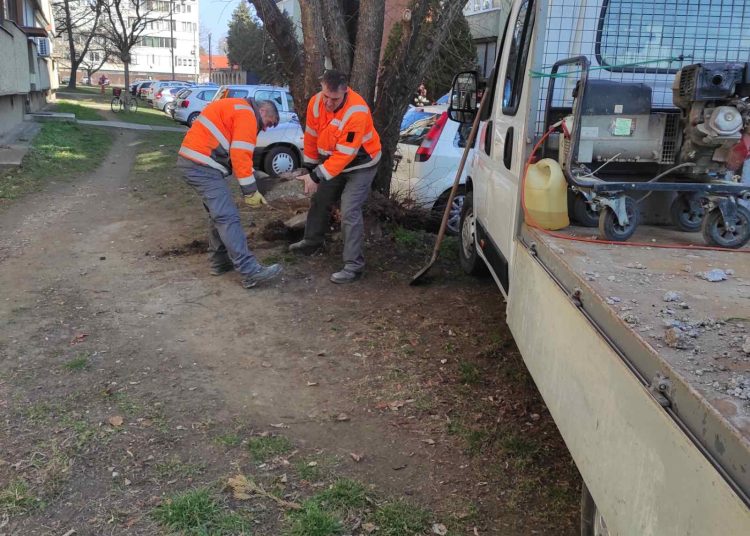 A Váci Városfejlesztő Kft. 2025.03.03. – 2025.03.09. között végzett munkái