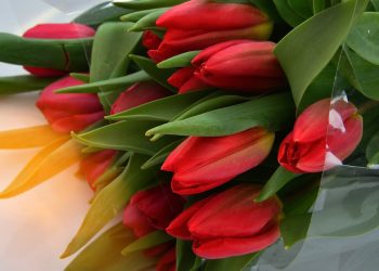 Virág, ajándék, kedves szó – így köszöntik a hölgyeket nőnapon