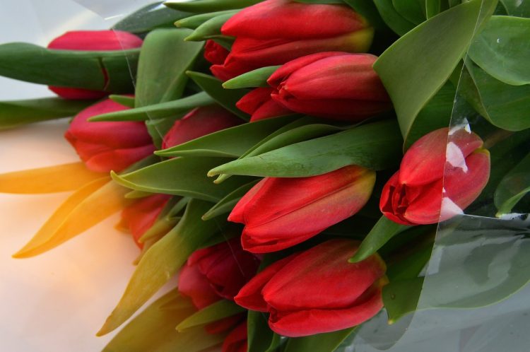 Virág, ajándék, kedves szó – így köszöntik a hölgyeket nőnapon