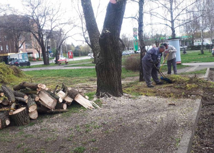 A Váci Városfejlesztő Kft. 2025.03.31. – 2025.04.06. közötti munkái – fotókkal