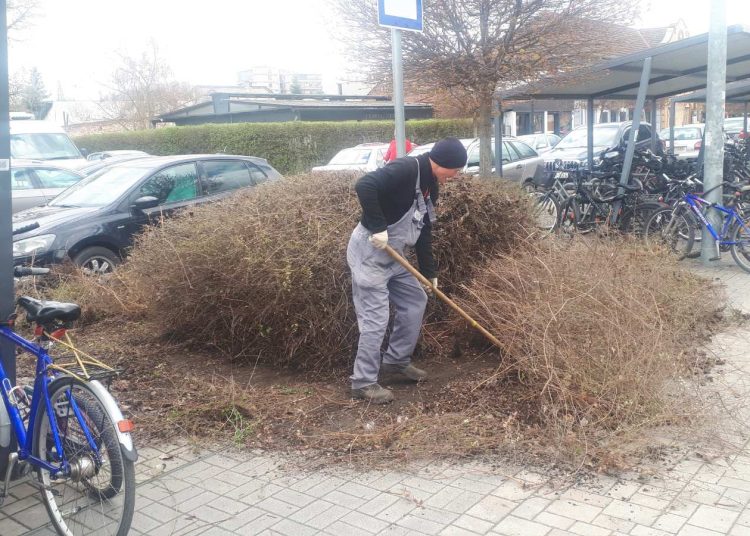A Váci Városfejlesztő Kft. 2025.03.31. – 2025.04.06. közötti munkái – fotókkal