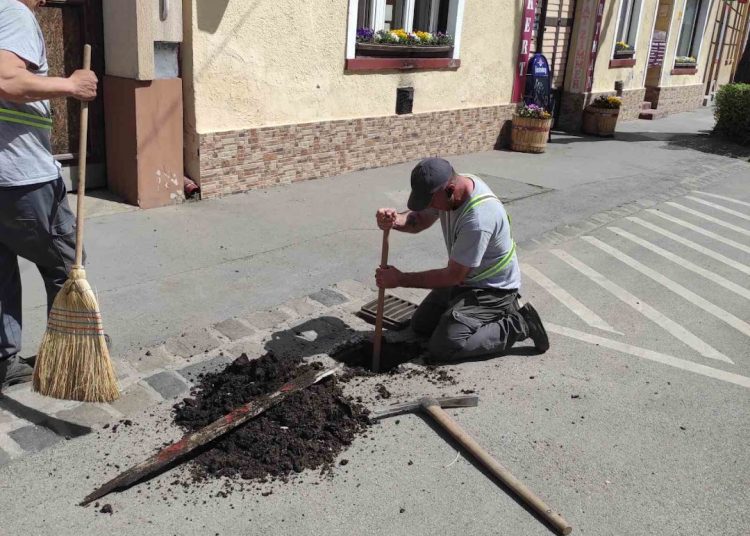 A Váci Városfejlesztő Kft. 2025.04.21. – 2025.04.27. közötti munkái – fotógaléria