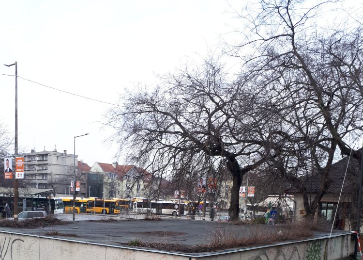 Önkormányzati ingatlanhirdetések – fotókkal