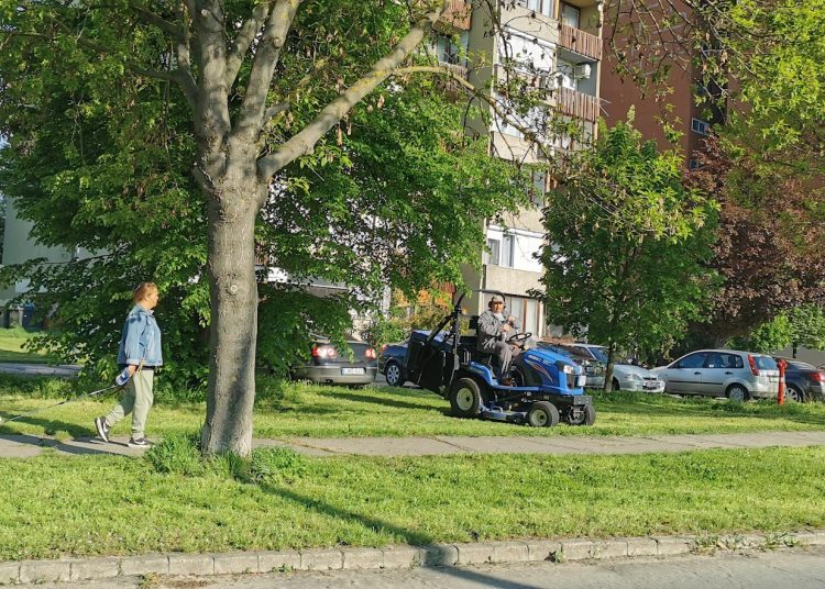 A Váci Városfejlesztő Kft. április 28-a és május 4-e között az alábbi munkákat végezte – fotógalériával