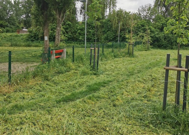 A Váci Városfejlesztő Kft. 2025.05.05. – 2025.05.11. közötti munkái – fotókkal