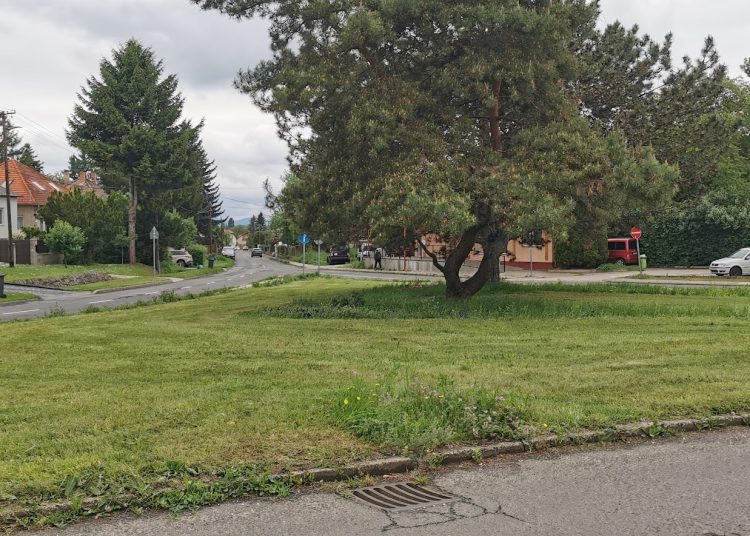 A Váci Városfejlesztő Kft. 2025.05.05. – 2025.05.11. közötti munkái – fotókkal