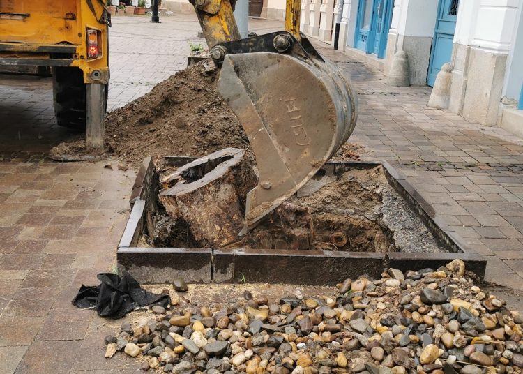 A Váci Városfejlesztő Kft. 2025.05.05. – 2025.05.11. közötti munkái – fotókkal