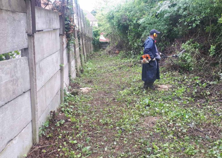 A Váci Városfejlesztő Kft. 2025.05.05. – 2025.05.11. közötti munkái – fotókkal