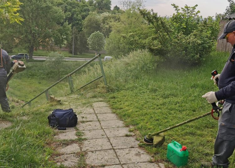 A Váci Városfejlesztő Kft. 2025.05.05. – 2025.05.11. közötti munkái – fotókkal