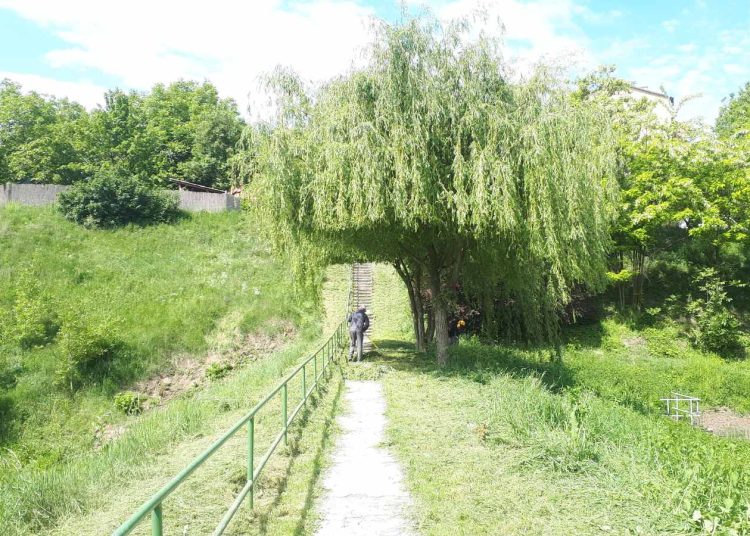 A Váci Városfejlesztő Kft. 2025.05.05. – 2025.05.11. közötti munkái – fotókkal