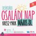 Deákvári Családi Nap a KRESZ parkban