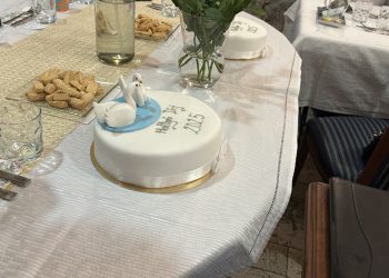 Hemela Mihály és a Városfejlesztő csapata kapta az idei Hattyú-díjakat – videóval