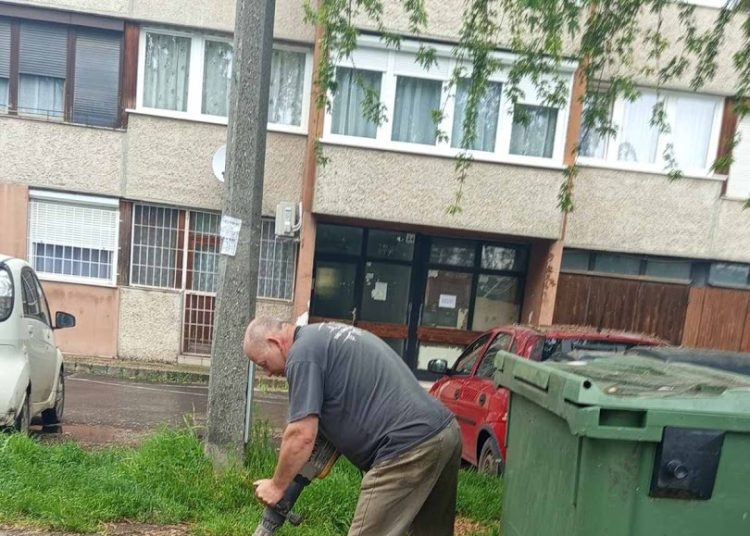 A Váci Városfejlesztő Kft. 2025.05.05. – 2025.05.11. közötti munkái – fotókkal