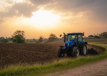 Egyéni gazdaságok összeírása Vácon – videóval