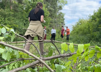 Május 15-én 17 órától a gyerekeknek mesél a törökhegyi erdő