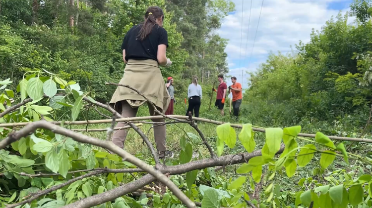 Május 15-én 17 órától a gyerekeknek mesél a törökhegyi erdő