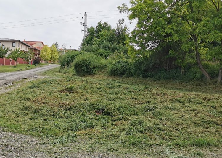Ezeken dolgozott a Városfejlesztő Kft. 2025.05.26. – 2025.06.01. között