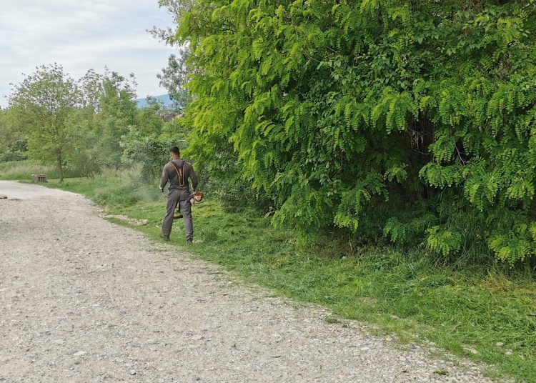 Ezeken dolgozott a Városfejlesztő Kft. 2025.05.26. – 2025.06.01. között