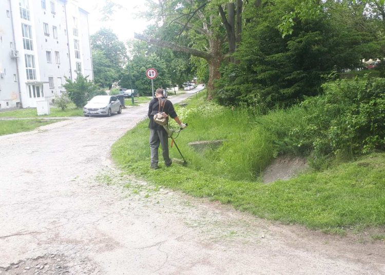 Ezeken dolgozott a Városfejlesztő Kft. 2025.05.26. – 2025.06.01. között