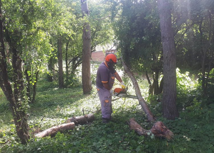 A Váci Városfejlesztő Kft. 2025.06.02. – 2025.06.08. közötti munkái