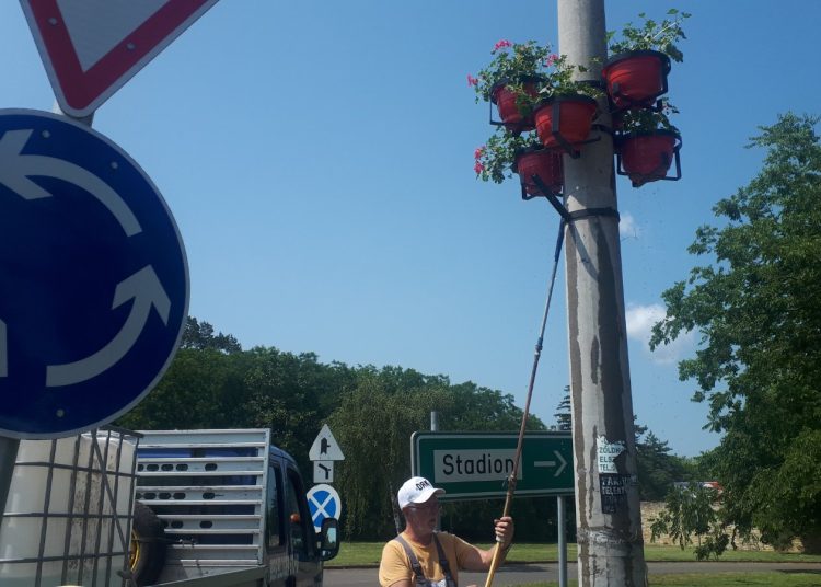 A Váci Városfejlesztő Kft. 2025.06.02. – 2025.06.08. közötti munkái