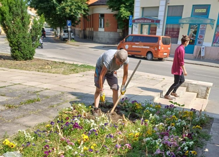 A Váci Városfejlesztő Kft. 2025.06.02. – 2025.06.08. közötti munkái