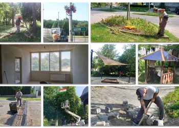 A Váci Városfejlesztő Kft. 2025.06.02. – 2025.06.08. közötti munkái