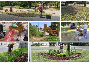 A Váci Városfejlesztő Kft. heti beszámolója