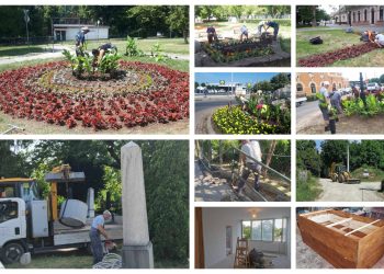 A Váci Városfejlesztő Kft. heti beszámolója