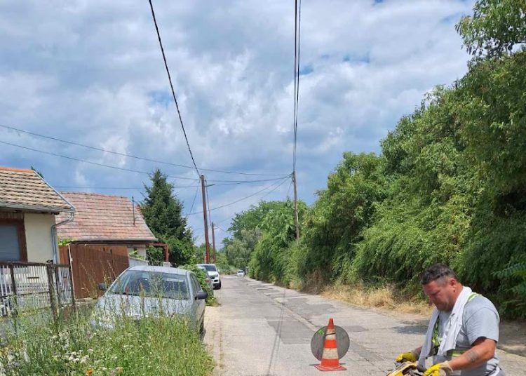 A Váci Városfejlesztő Kft. heti beszámolója