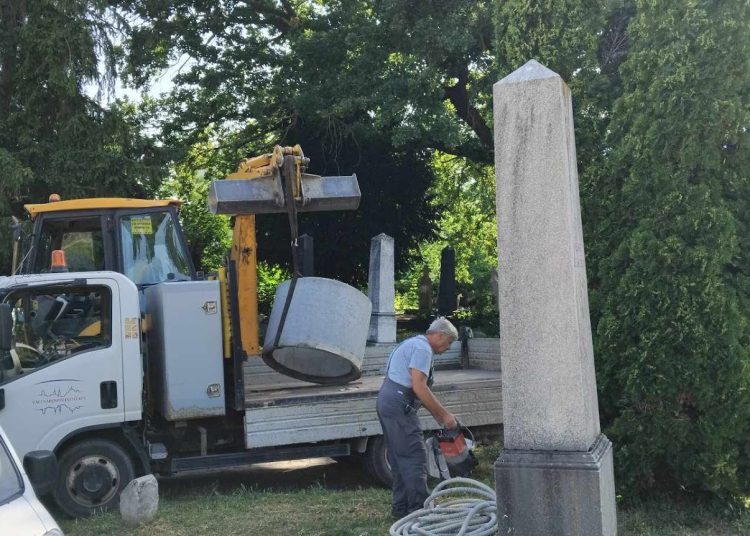 A Váci Városfejlesztő Kft. heti beszámolója