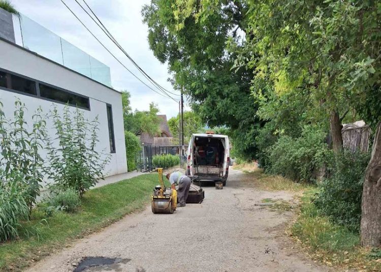A Váci Városfejlesztő Kft. heti beszámolója