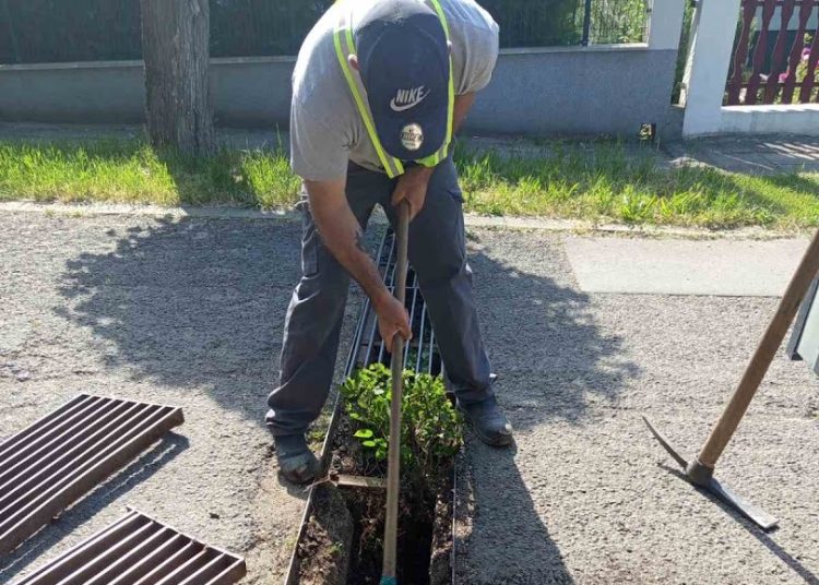 A Váci Városfejlesztő Kft. 2025.06.02. – 2025.06.08. közötti munkái