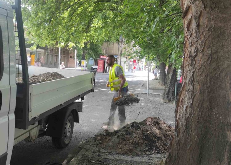 A Váci Városfejlesztő Kft. heti beszámolója