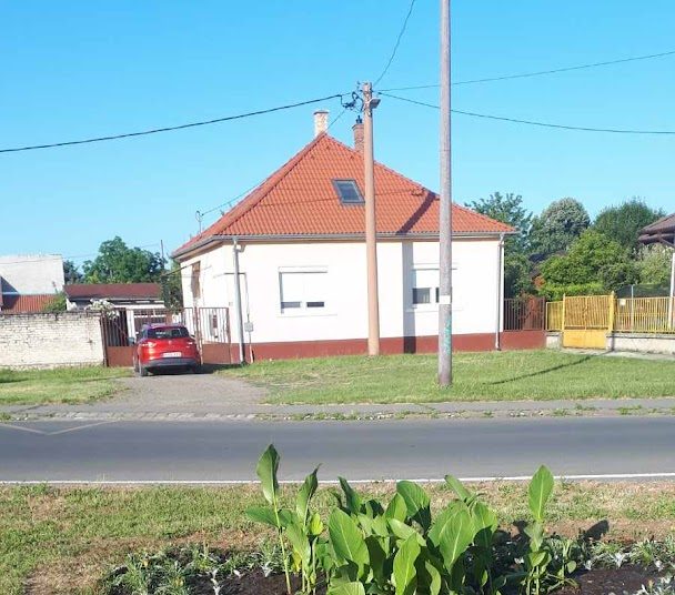 A Váci Városfejlesztő Kft. heti beszámolója