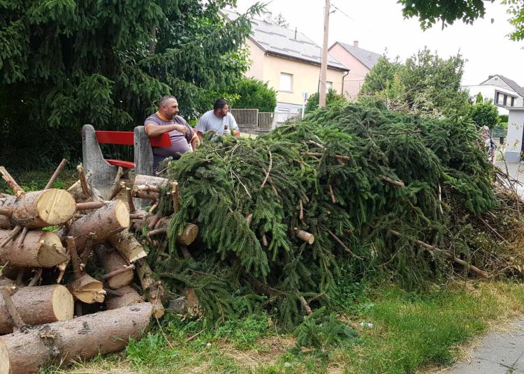 A Váci Városfejlesztő Kft. heti beszámolója