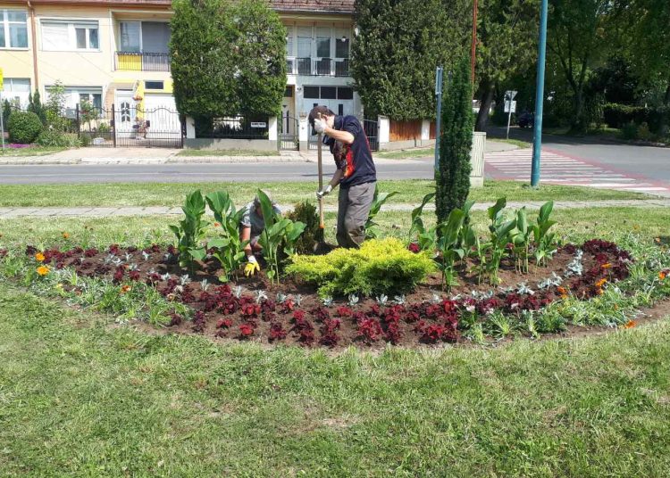 A Váci Városfejlesztő Kft. heti beszámolója