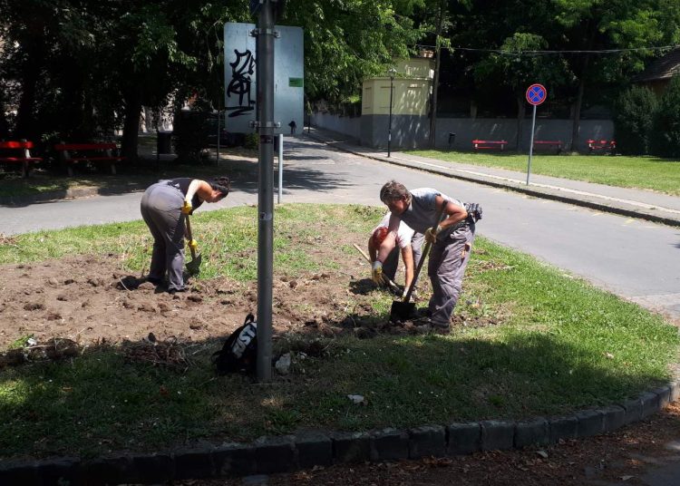 A Váci Városfejlesztő Kft. heti beszámolója