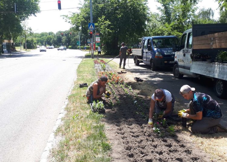 A Váci Városfejlesztő Kft. heti beszámolója