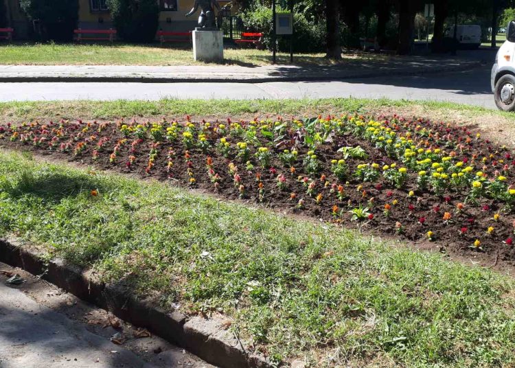 A Váci Városfejlesztő Kft. heti beszámolója