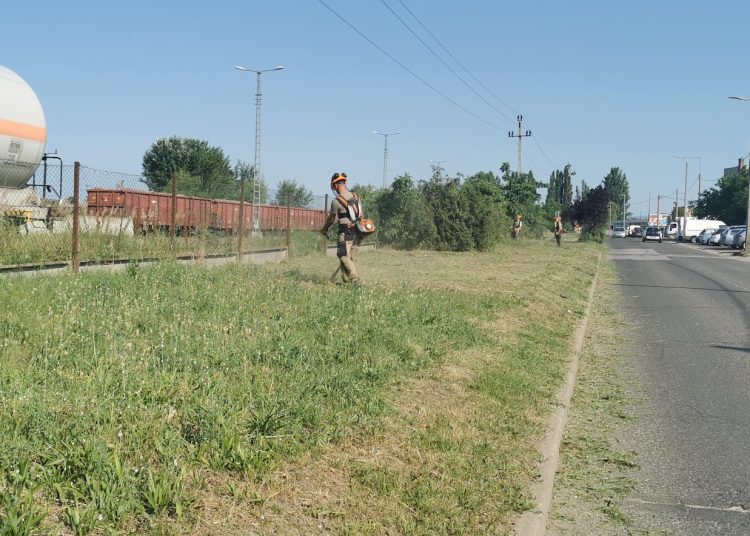 A Váci Városfejlesztő Kft. heti beszámolója