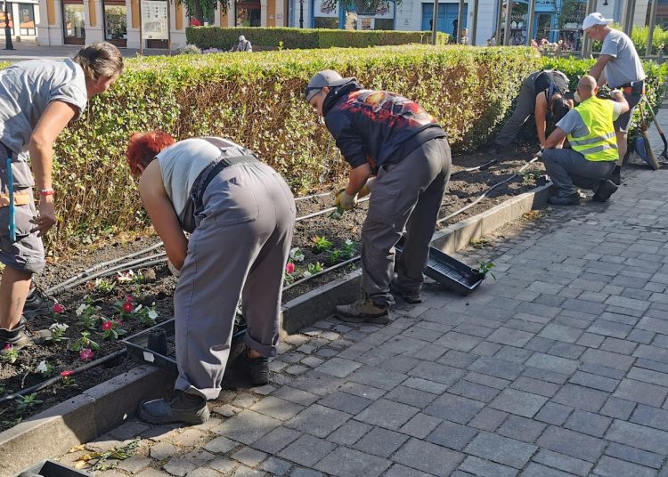A Váci Városfejlesztő Kft. heti beszámolója